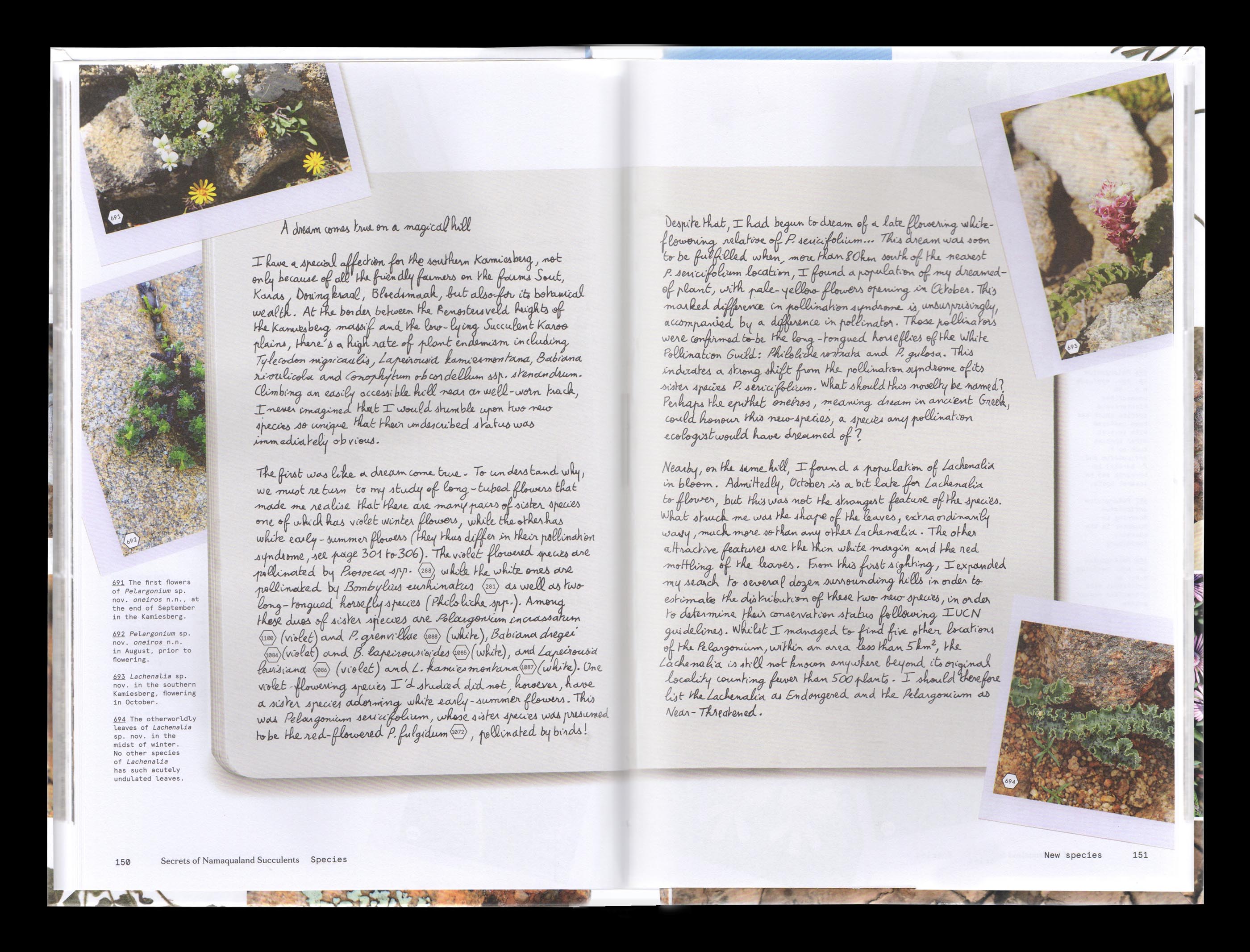 Vue d'une double page intérieure du livre “Secrets of Namaqualand Succulents”