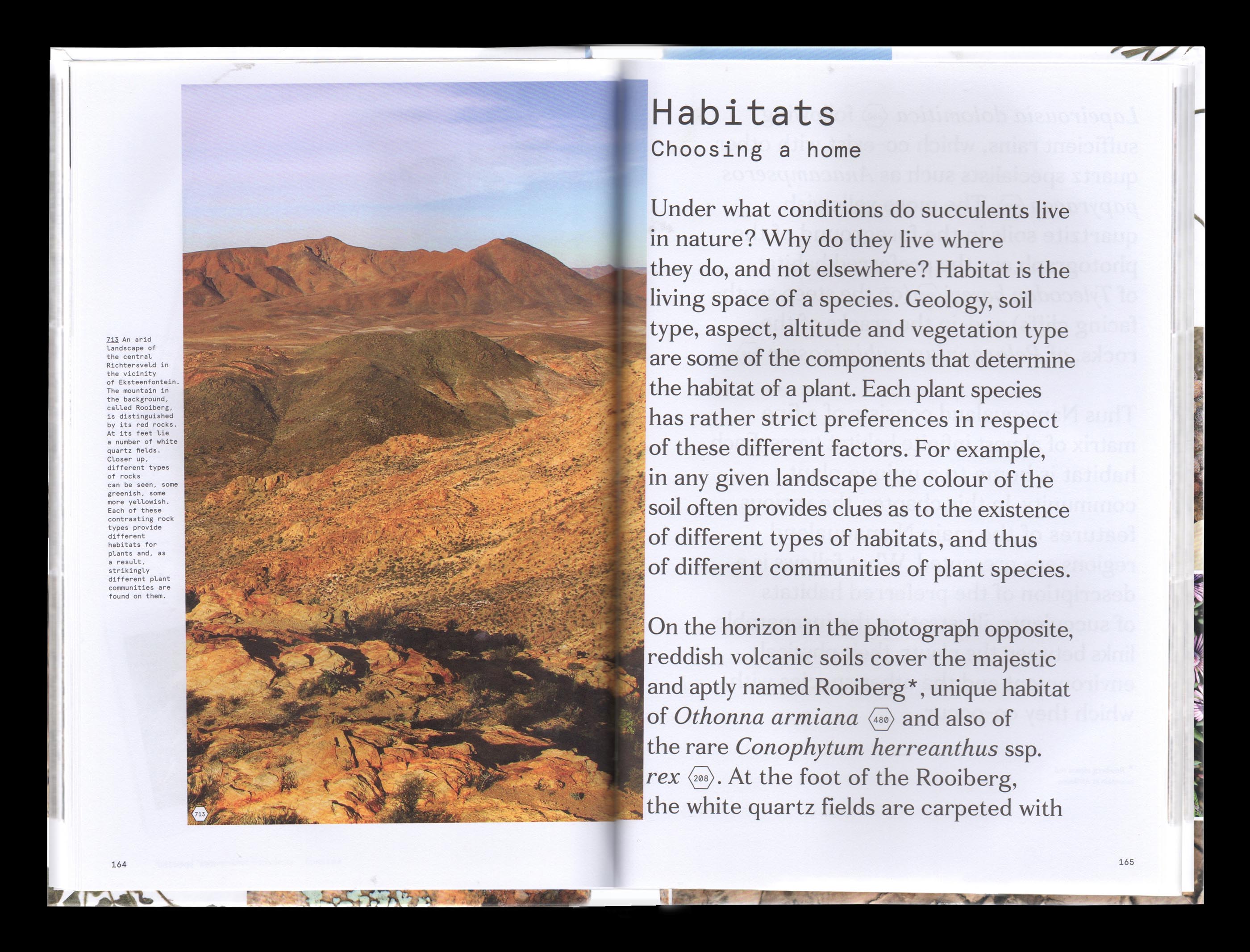Vue d'une double page intérieure du livre “Secrets of Namaqualand Succulents”