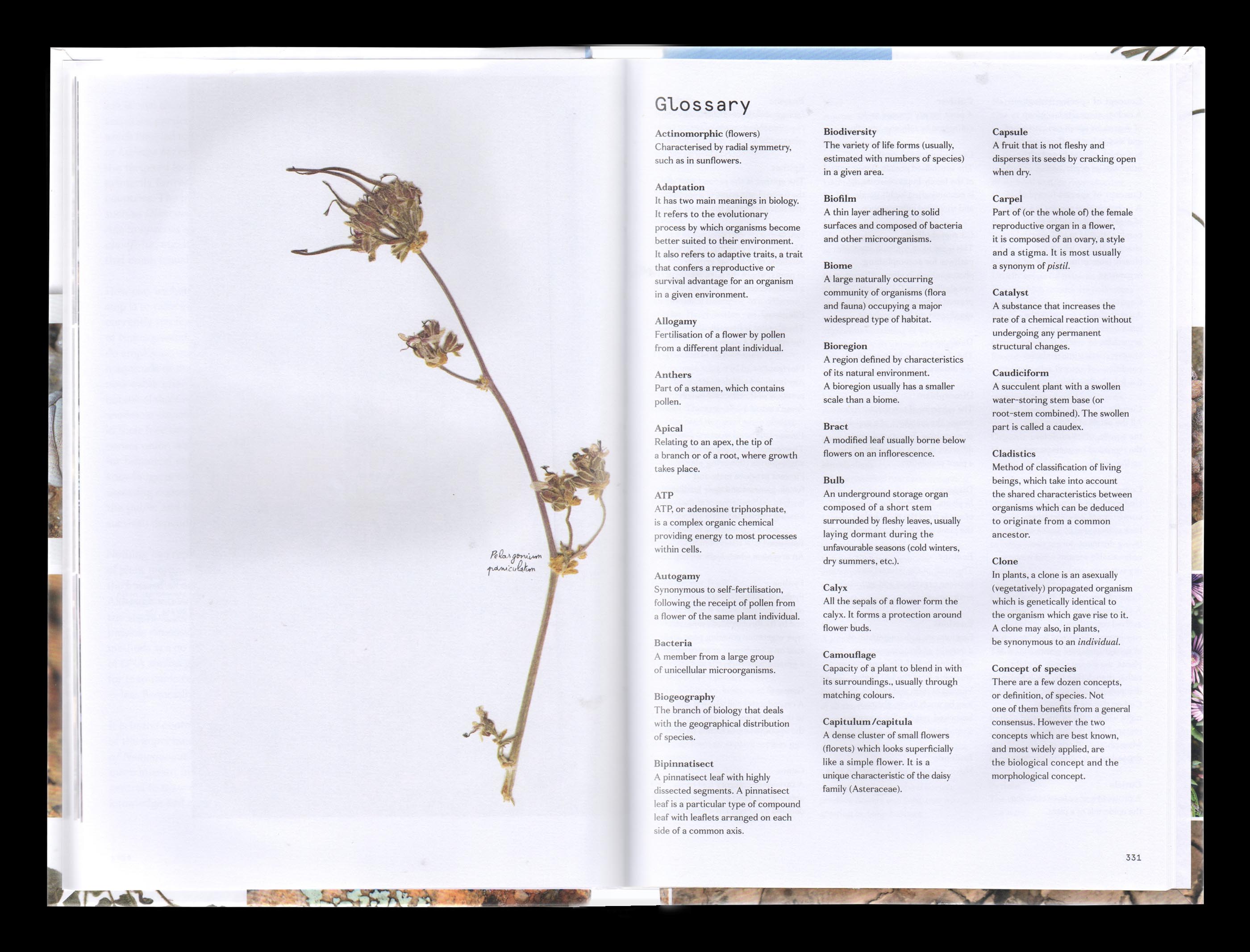 Vue d'une double page intérieure du livre “Secrets of Namaqualand Succulents”